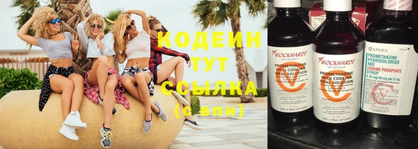 бошки Арсеньев