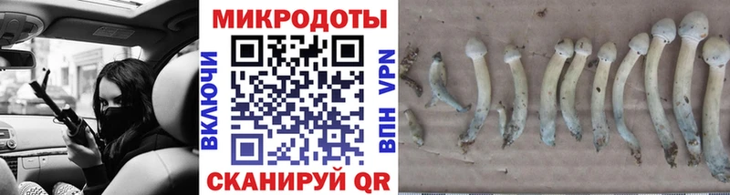 дарнет шоп  Глазов  Галлюциногенные грибы Psilocybine cubensis 